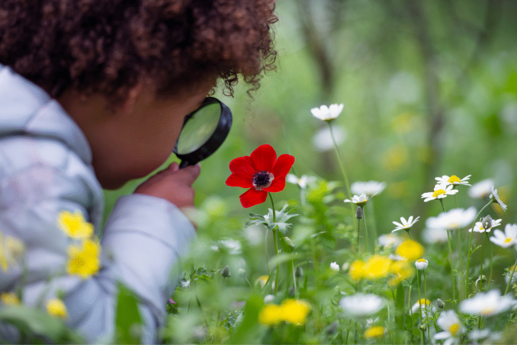 Little boy observing nature