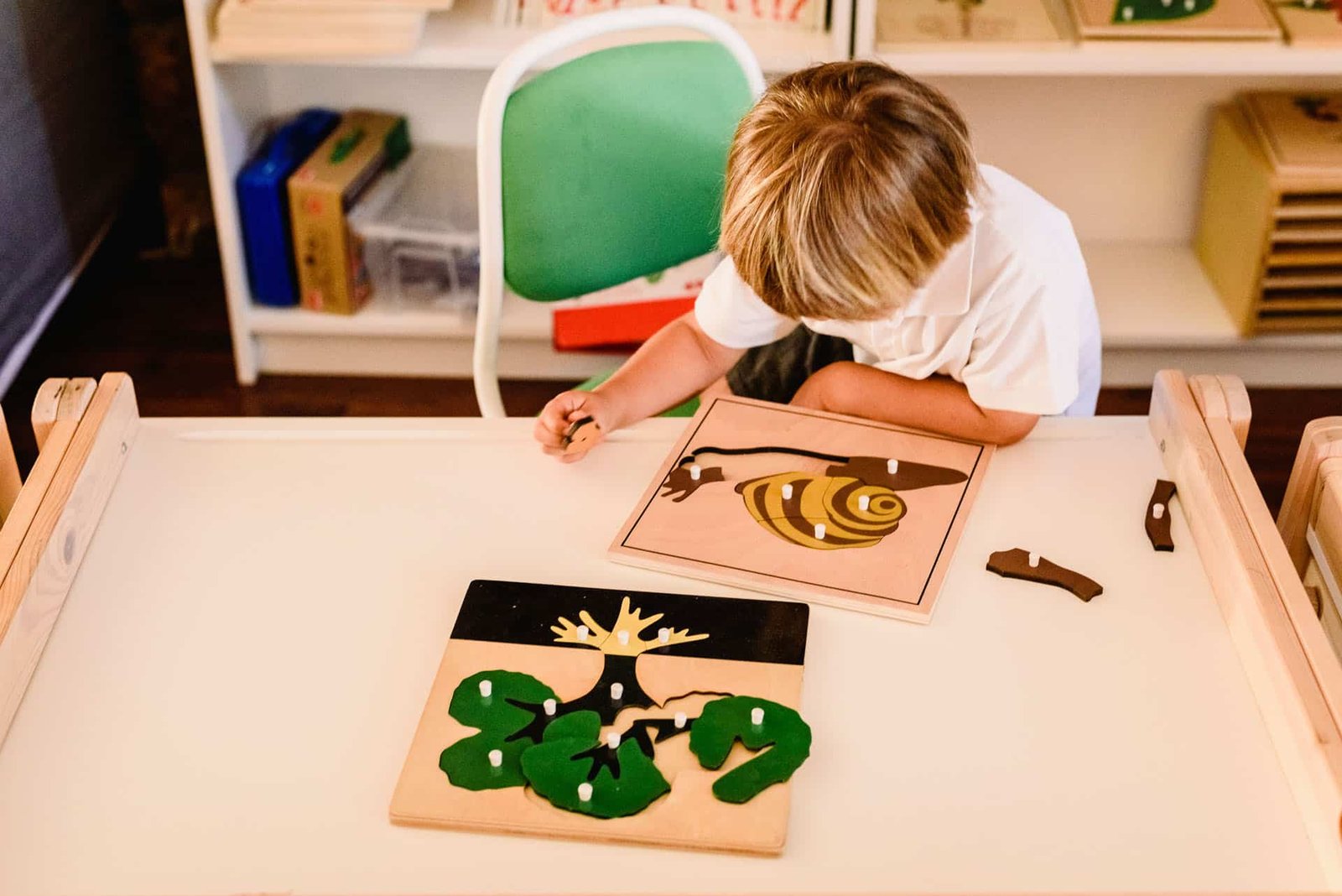 Child's hands learning biology with montessori material